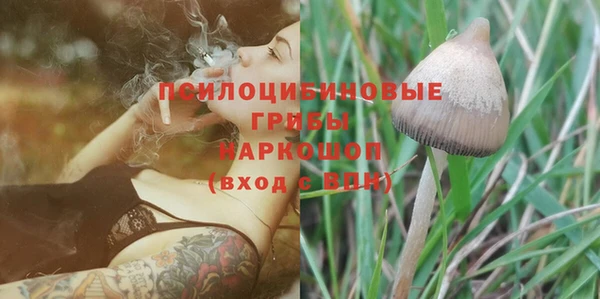 a pvp Богородск